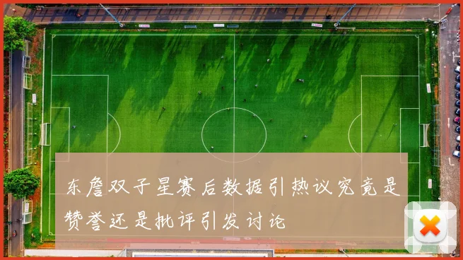 东詹双子星赛后数据引热议究竟是赞誉还是批评引发讨论